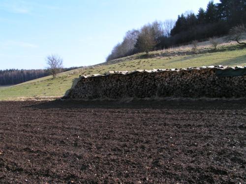 a herd of sheep standing next to a stone wall at Pension Haus Liesertal in Üdersdorf