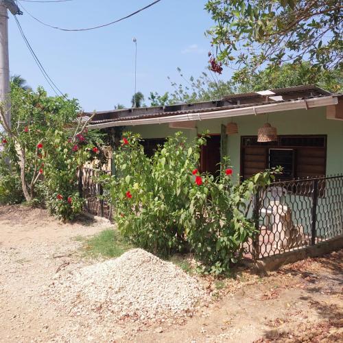 a house with red flowers in front of it at Hostel Nugeku in Rincón