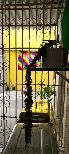a plant sitting on top of a glass table at Borba Beach House in Recife