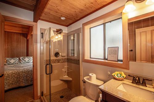a bathroom with a toilet and a sink and a shower at Das Berghaus By Hauserman Rentals in Tahoe City