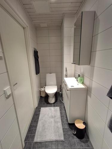 a small bathroom with a toilet and a sink at Easy Stay Mikkeli in Mikkeli