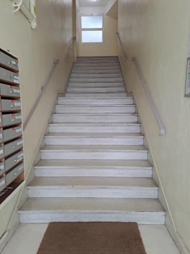 LE 31 photo 10