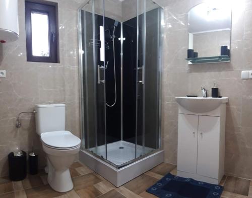 a bathroom with a shower and a toilet and a sink at Domki Tepakówka in Wołkowyja