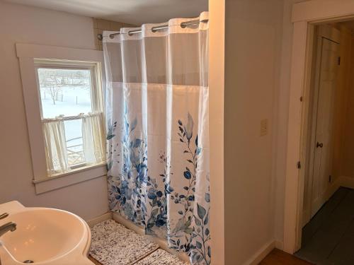 a bathroom with a sink and a shower curtain at My Valhalla Farm in Oakland
