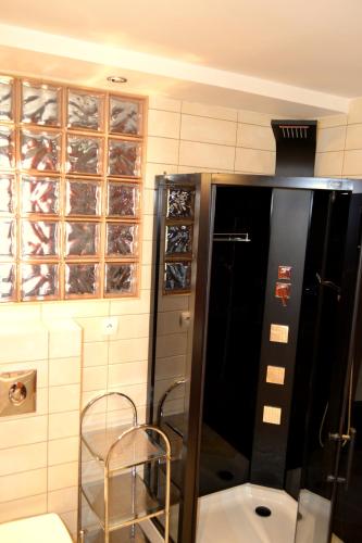 a bathroom with a shower and a toilet in a room at Apartament Piast w Rynku in Nysa