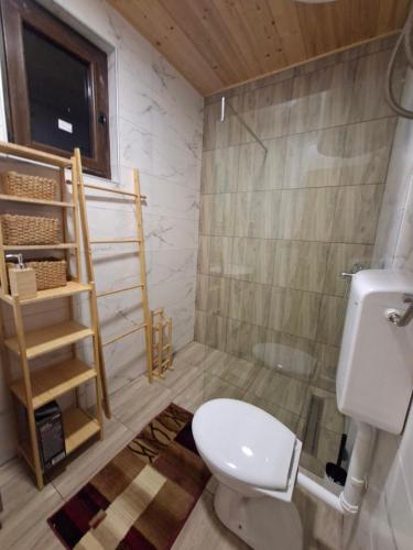 a bathroom with a toilet and a shower at Straza in Rožanstvo