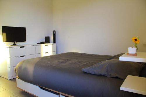 Montpellier Port Marianne T2 45 m2 terrace 20 m2