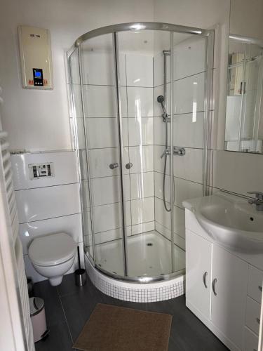 a bathroom with a shower and a toilet and a sink at Arcadia in Remagen