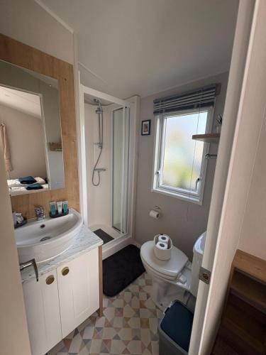 a bathroom with a sink and a toilet at Chalet Meerwijck mit Terrasse am Wasser und Meer mit Schwimmbad in Kropswolde
