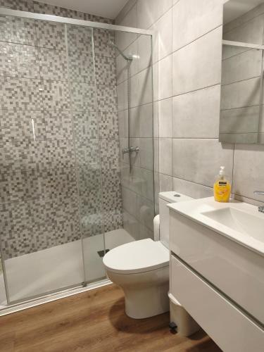 a bathroom with a shower and a toilet and a sink at Casa Valinhas in São Jorge