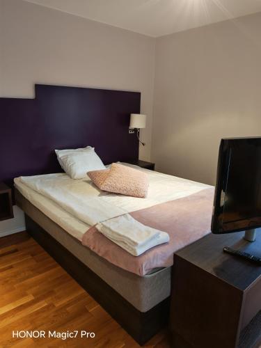 ein Schlafzimmer mit einem großen Bett, einem Schreibtisch und einem Fernseher in der Unterkunft Tellus Apartment in Lund