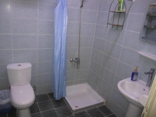 a bathroom with a shower and a toilet and a sink at العين الهيلي مصباح ب 5 in Al Ain