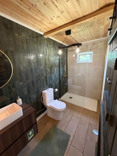 a bathroom with a toilet and a shower at Casa Oliveira in Silves