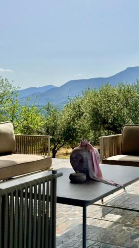 The Olive Nest House