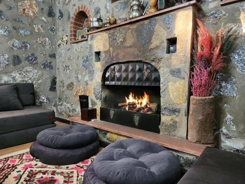 Villa Eleia Bodrum - Olive Garden & Stone House