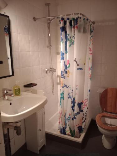 a bathroom with a shower curtain and a sink at Studio Barbotan-les-Thermes in Cazaubon