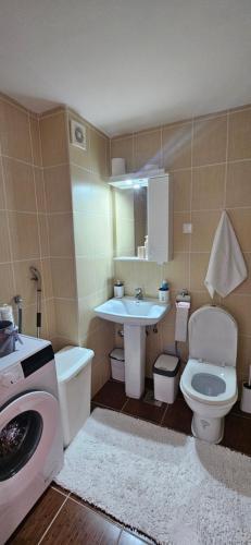 a bathroom with a sink toilet and a washing machine at Apartman Tajna in Sremčica