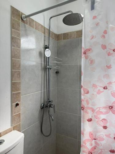 a shower with a shower head in a bathroom at Tres Soles 2 in Salsipuedes