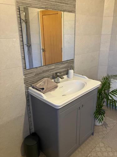 a bathroom with a sink and a mirror at Dannys Haven in Ballagh Cross Roads