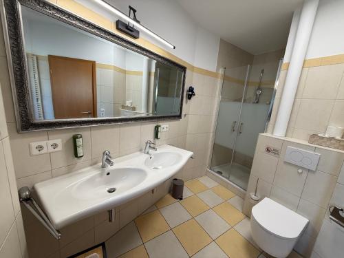 a bathroom with a sink and a toilet and a mirror at Residence Loft in Friedrichshafen