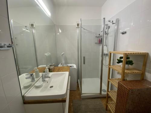 a bathroom with a sink and a shower at Mona Lisa Apartment in Bratislava