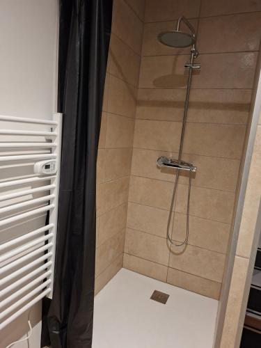 a shower with a shower curtain in a bathroom at Secret Night in Audincourt