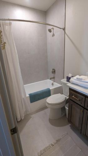 a bathroom with a toilet and a tub and a sink at Henrys Fork Suites Suite One in Saint Anthony