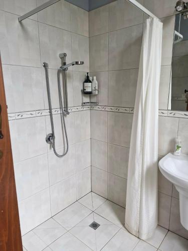 a bathroom with a shower and a sink at Belvedere Bed & Breakfast in Winton