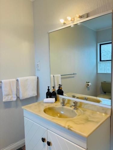 a bathroom with a sink and a large mirror at Awatea Park Motel in Palmerston North