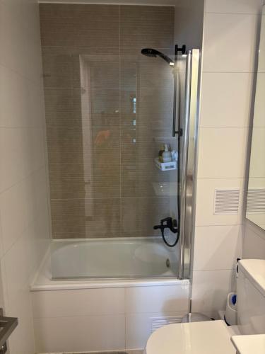 a bathroom with a bath tub and a toilet at Excelente, Exclusivo Depto en Pucón in Pucón