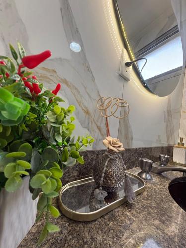a kitchen counter with a sink with plants on it at Parque plaza residence flat in São Bernardo do Campo