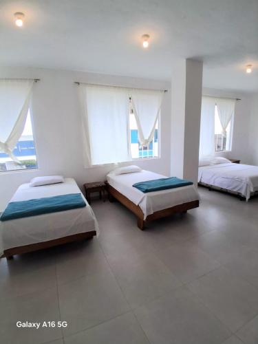 two beds in a large room with windows at Barrio Central in Puerto Ayora