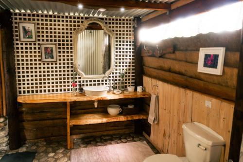 a bathroom with a sink and a mirror and a toilet at HighlandsView in Swellendam