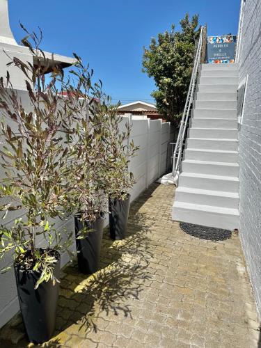 a group of potted plants next to a staircase at Pebbles & Shells in Kleinmond