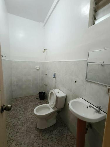 a bathroom with a toilet and a sink at The Sylvia in San Juan