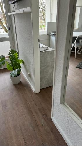 an empty room with a plant and a mirror at FeWo am Deich 4 in Bremerhaven