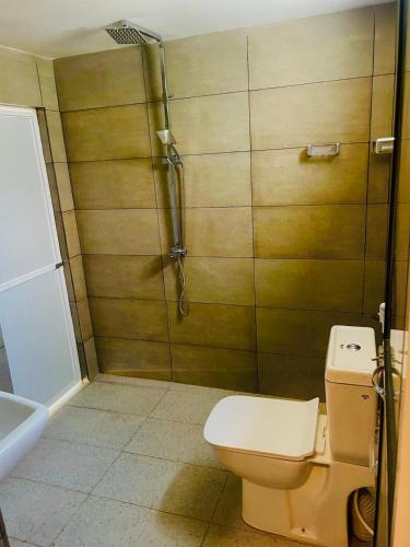 a bathroom with a toilet and a shower at Green Crown Villa in Polonnaruwa