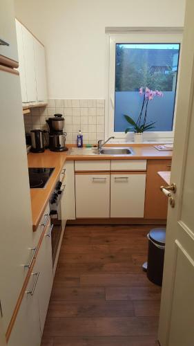 Η κουζίνα ή μικρή κουζίνα στο Apartment