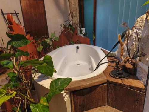 a bath tub in a bathroom with plants in it at Casa caracol Macario in Macario Gomez
