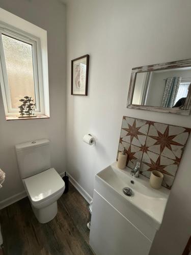 a bathroom with a toilet and a sink and a mirror at Starfish Snug in Brixham