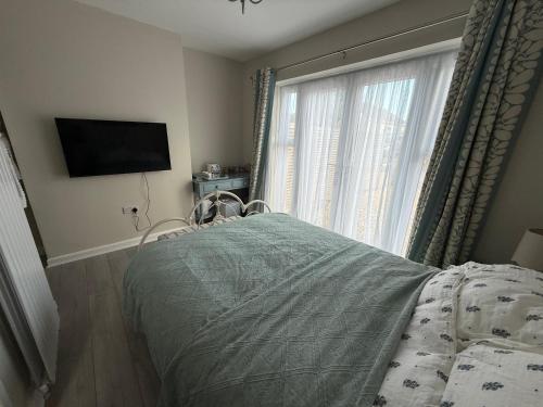 a bedroom with a bed and a tv and a window at Starfish Snug in Brixham