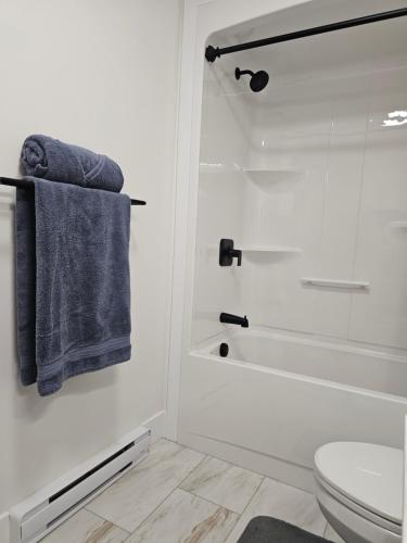 ein weißes Badezimmer mit Dusche und Toilette in der Unterkunft Elegant 3-bedroom Home Away From Home, Luxury Styled in St. John's