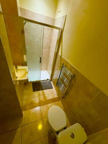 a small bathroom with a toilet and a shower at Babo room in Farnworth