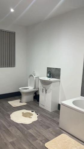 a bathroom with a toilet and a sink at PLUS Properties Westport 1 in Stoke on Trent