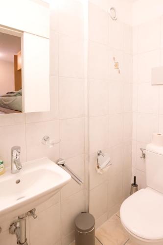 a bathroom with a sink and a toilet and a mirror at Nendaz Olympic Ski-In Ski-Out in Nendaz