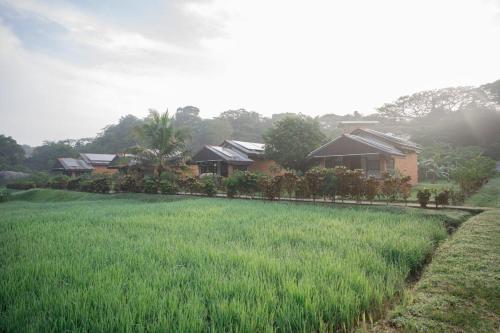 a field of green grass next to a house at Karanda Eco Resort in Dambulla