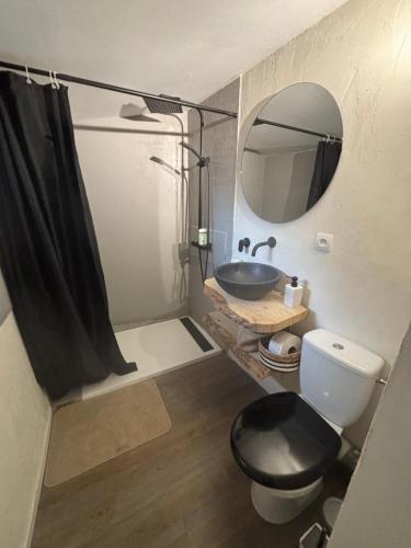 a bathroom with a toilet and a sink and a mirror at Maison flanc de coteau in Turquant