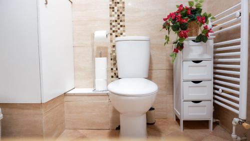 Near Uni and Hospital - Long Stays - Fast Wi-Fi - 15 Mins to City photo 14