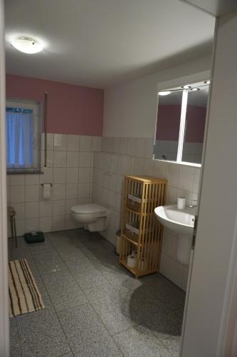 a bathroom with a sink and a toilet and a mirror at Auszeit in Limbach