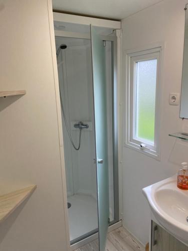 a bathroom with a shower and a sink at l'impasse de la tranquillité in Pont-Aven